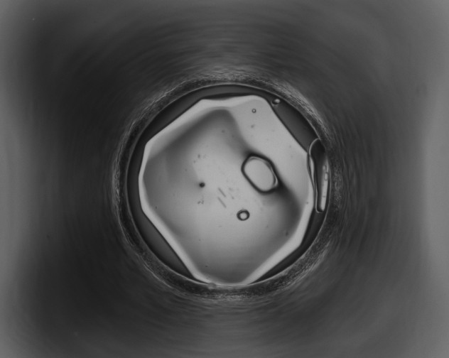 X0000098090581200804040728
