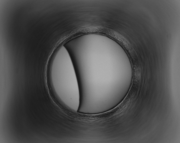 X0000098090582200804040728