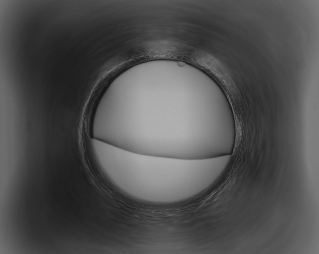 X0000098090583200804040728