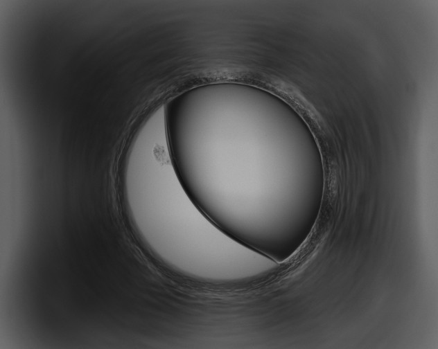 X0000098090585200804040728