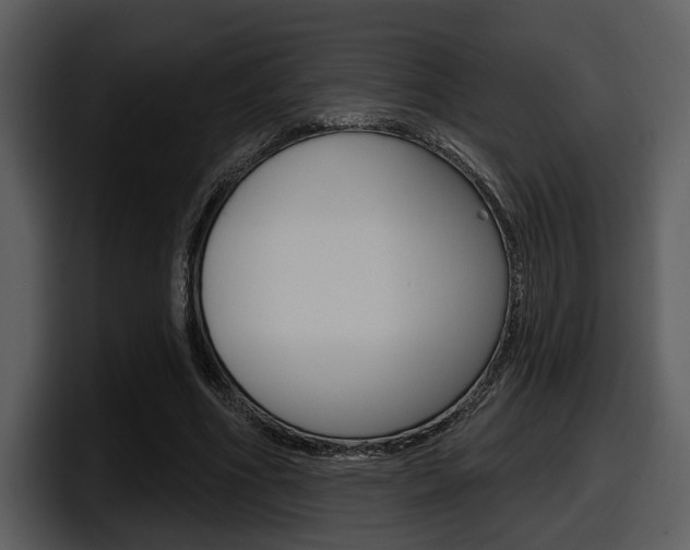 X0000098090586200804040728