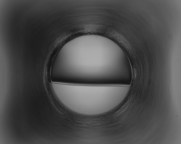 X0000098090588200804040728