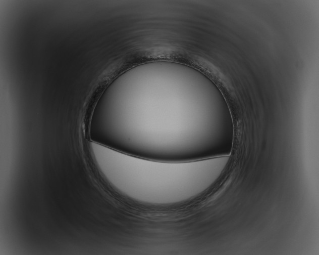 X0000098090589200804040728