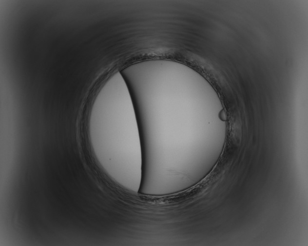 X0000098090591200804040728