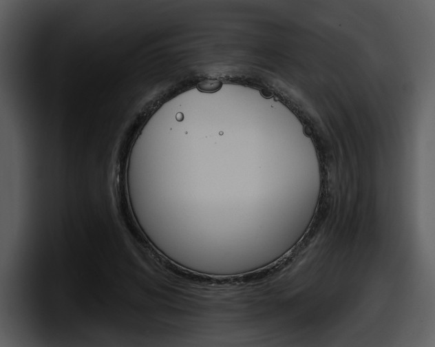 X0000098090592200804040728