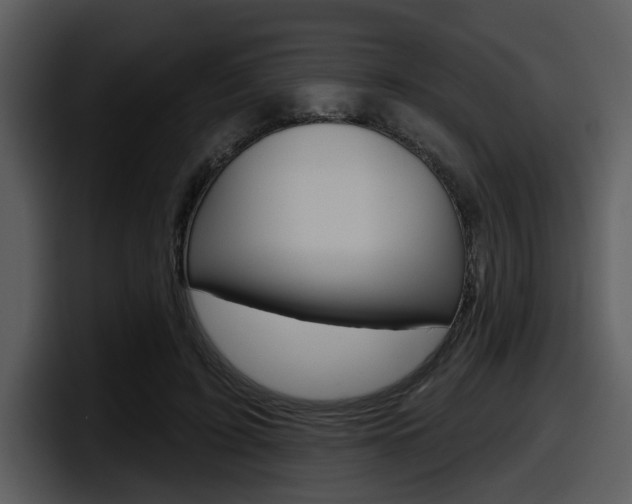 X0000098090595200804040728
