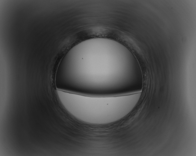 X0000098090597200804040728