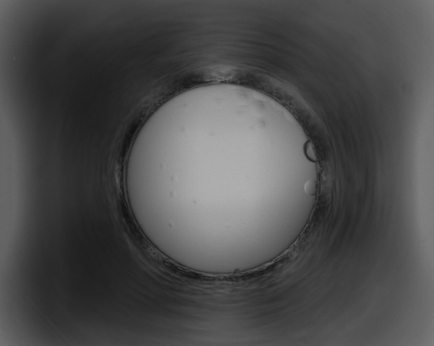 X0000098090598200804040728