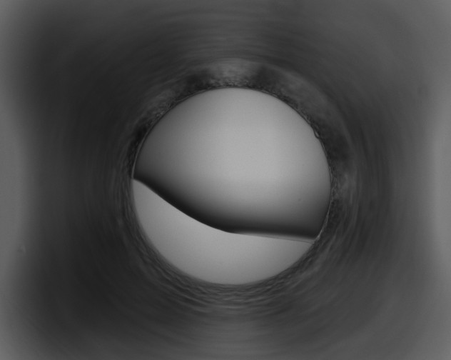 X0000098090599200804040728