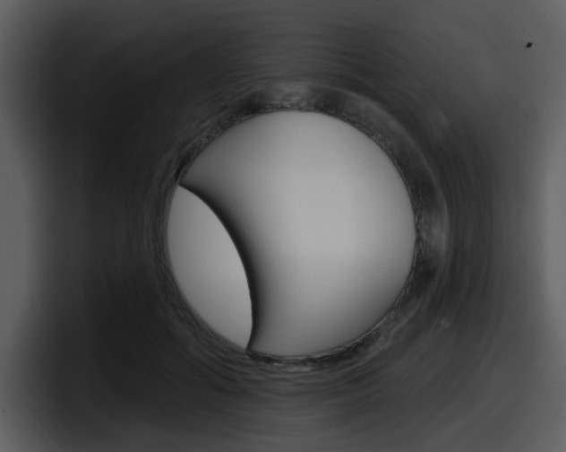 X0000098090602200804040728