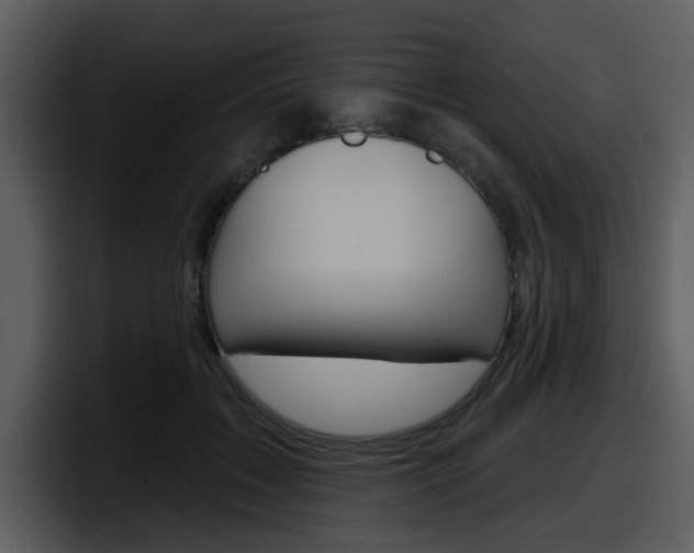 X0000098090603200804040728