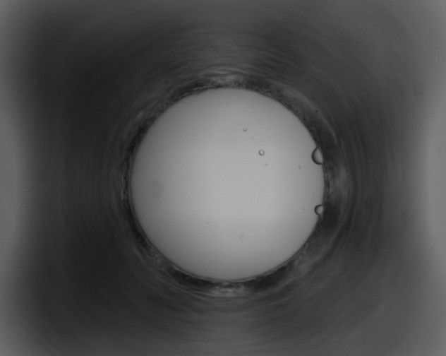 X0000098090606200804040728