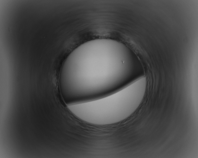 X0000098090609200804040728