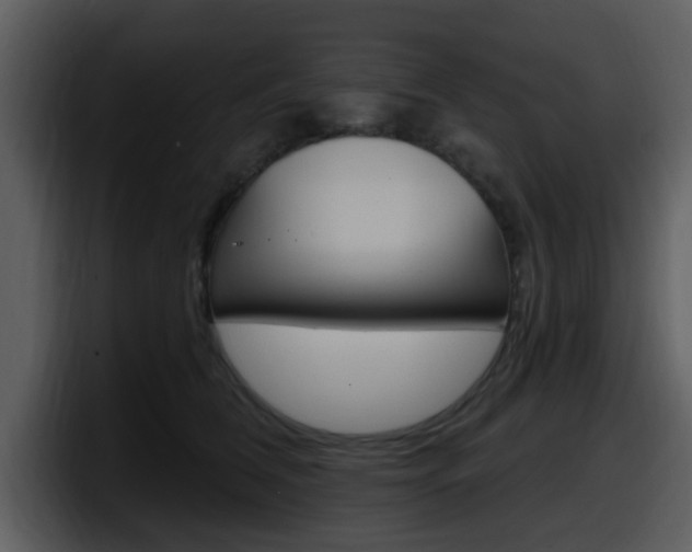 X0000098090612200804040728