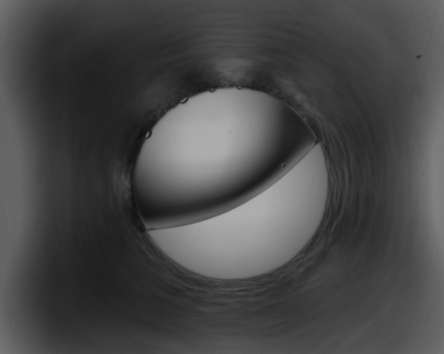 X0000098090613200804040728
