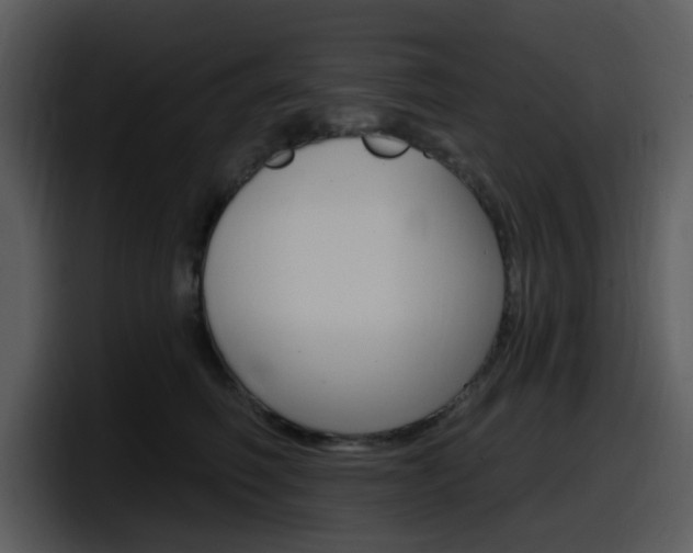 X0000098090614200804040728