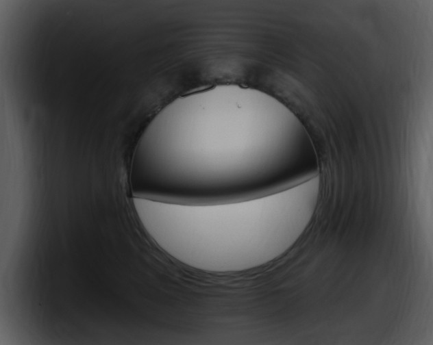 X0000098090617200804040728