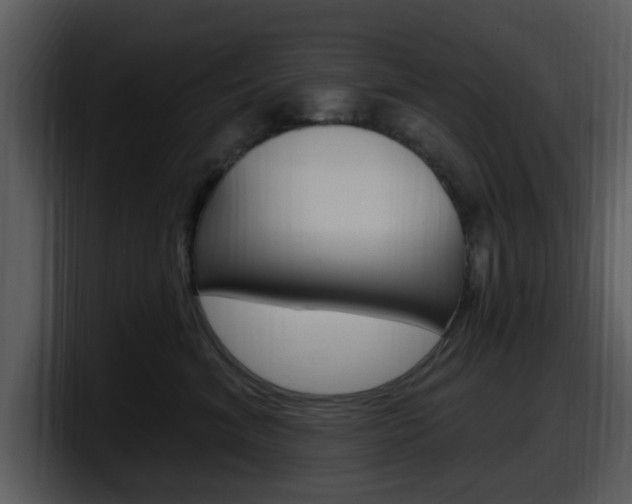 X0000098090620200804040728