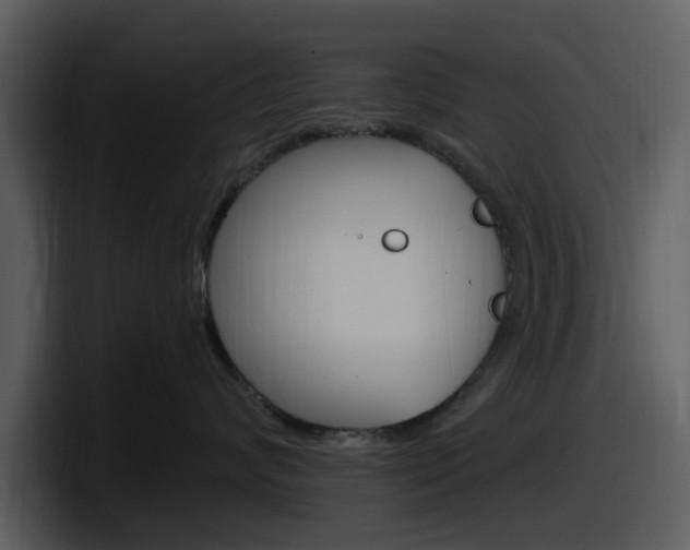 X0000098090624200804040727