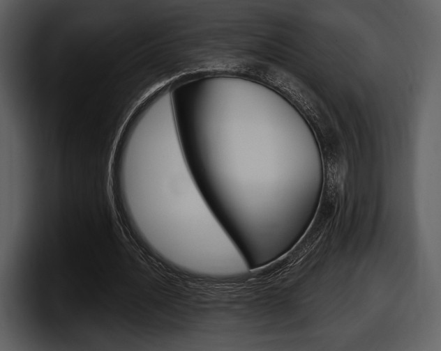 X0000098090628200804040727