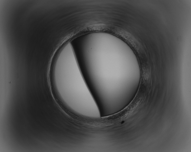 X0000098090630200804040727