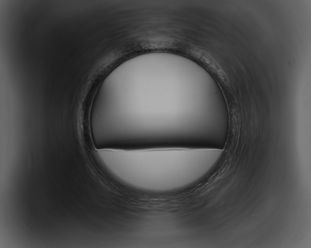 X0000098090631200804040727