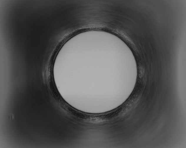 X0000098090632200804040727