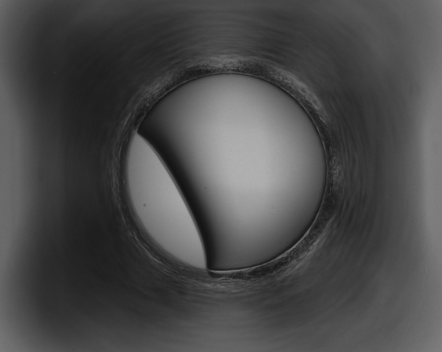 X0000098090633200804040727
