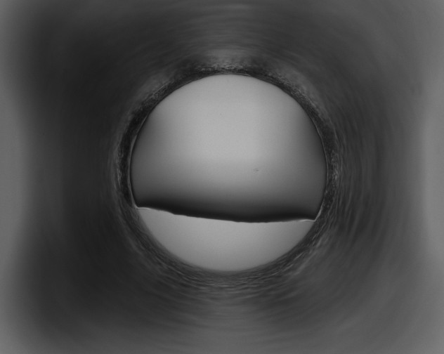 X0000098090635200804040727