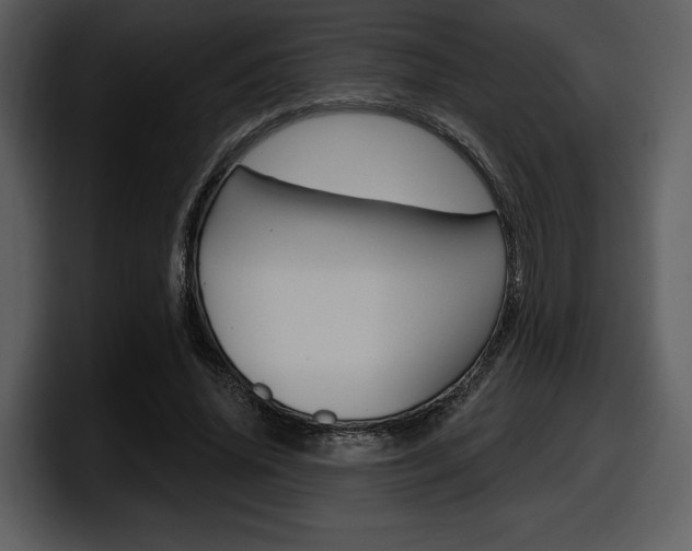 X0000098090636200804040727