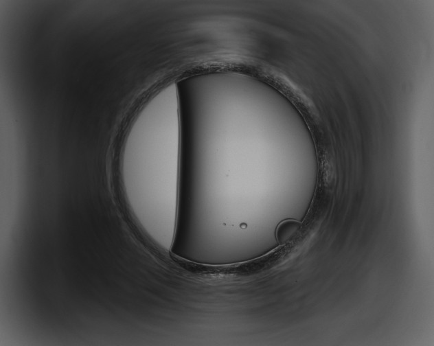 X0000098090637200804040727