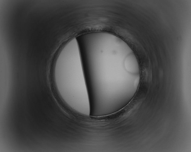 X0000098090638200804040727
