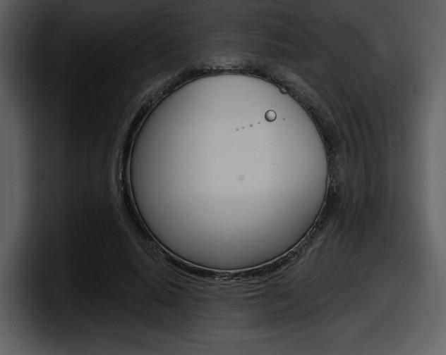 X0000098090640200804040727