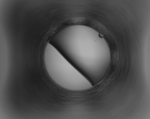 X0000098090644200804040727