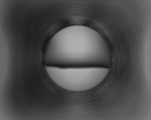 X0000098090647200804040727