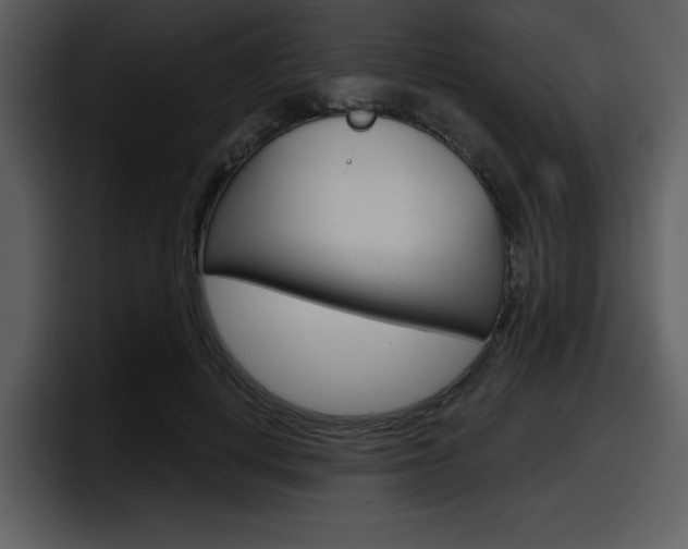 X0000098090648200804040727