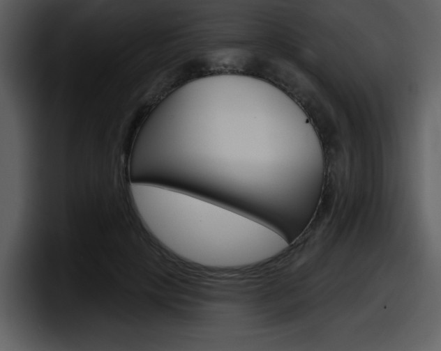 X0000098090649200804040727