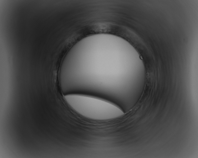 X0000098090652200804040727