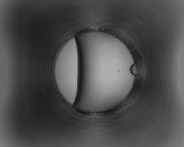 X0000098090656200804040727