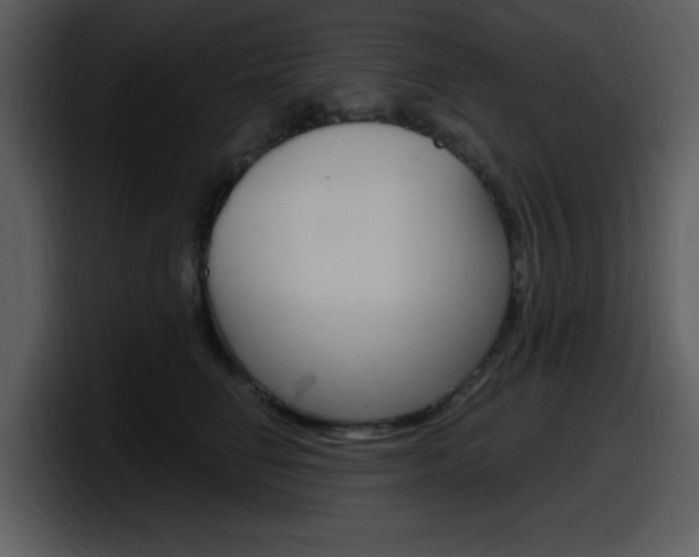 X0000098090662200804040727