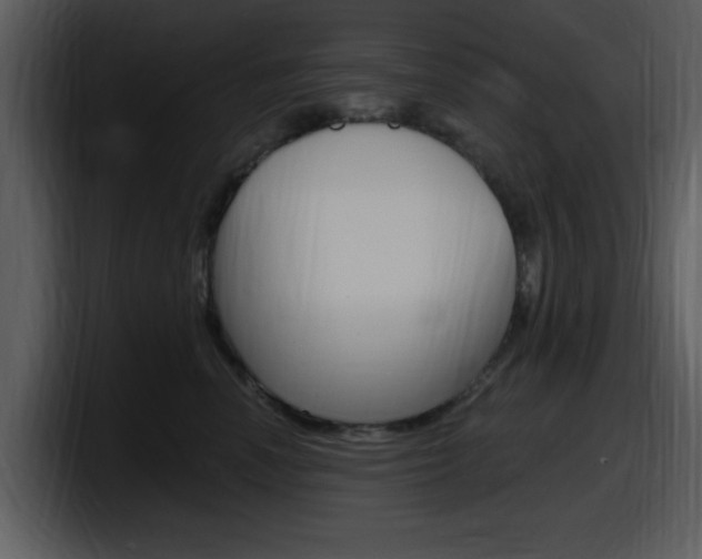 X0000098090666200804040727