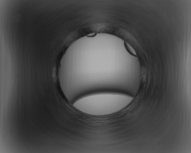 X0000098090670200804040727