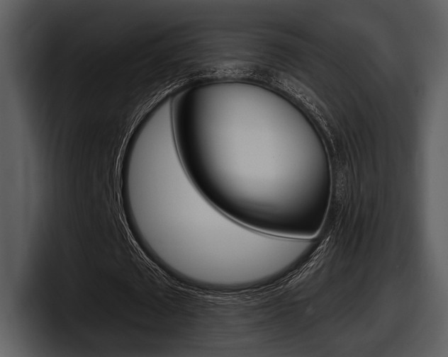 X0000098090673200804040727