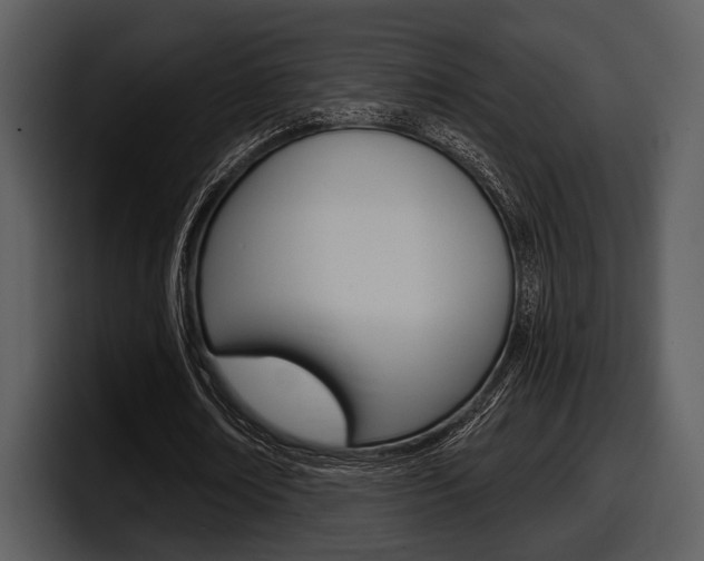 X0000098090674200804040727
