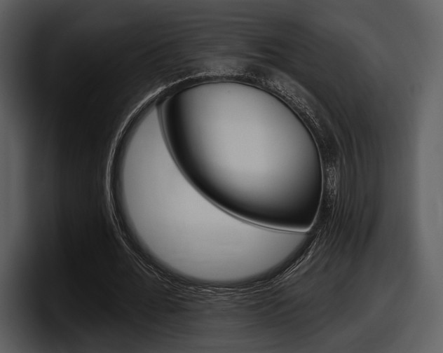 X0000098090676200804040727