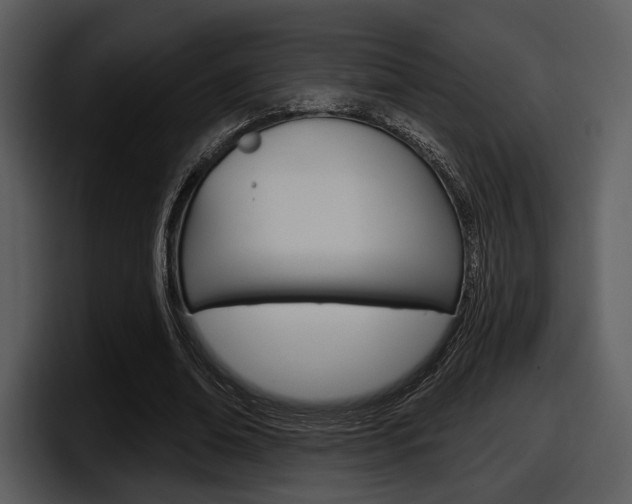 X0000098090678200804040727