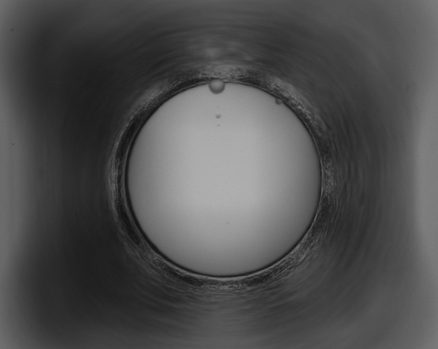 X0000098090679200804040727