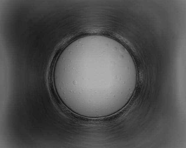 X0000098090682200804040727