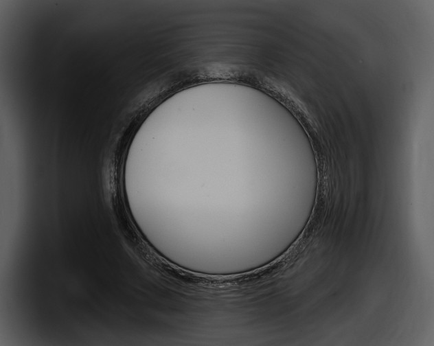 X0000098090683200804040727