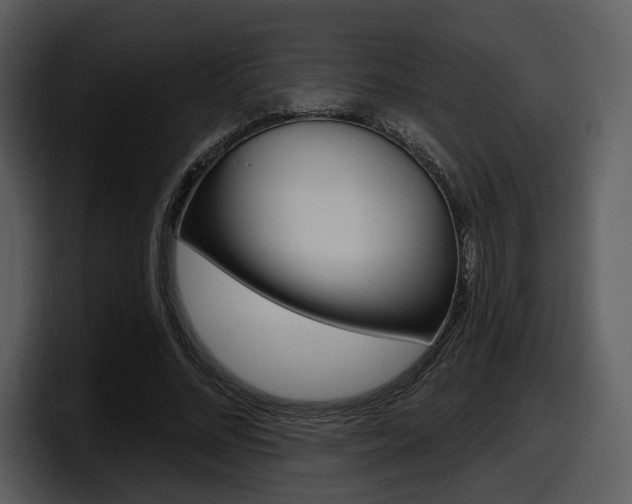 X0000098090684200804040727
